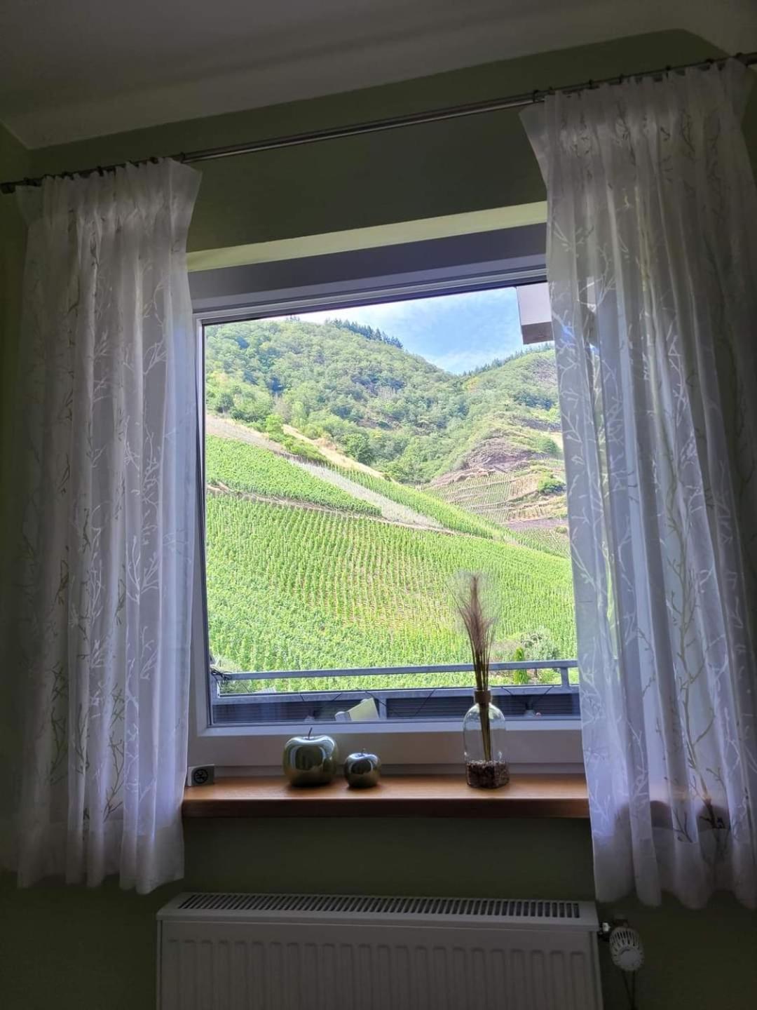 Ferienwohnung Haus Am Calmont Bremm Εξωτερικό φωτογραφία