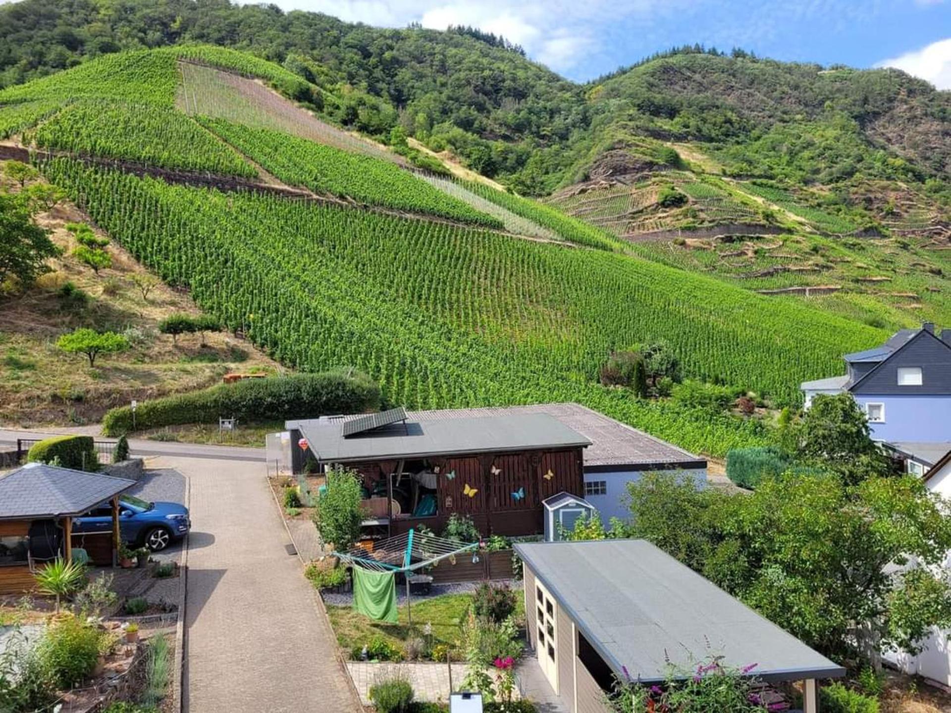 Ferienwohnung Haus Am Calmont Bremm Εξωτερικό φωτογραφία